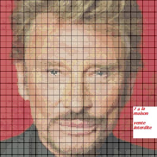 grille gratuite point de croix johnny hallyday
