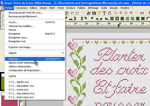 point de croix deluxe windows 7