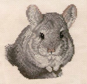 point de croix docteur la peluche