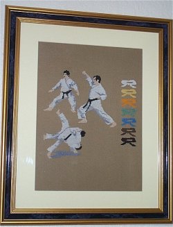 point de croix judo