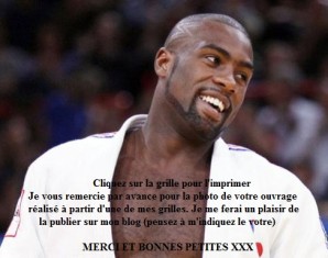 grille gratuite point de croix judo