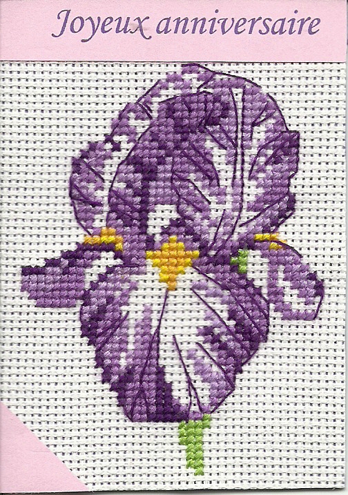point de croix iris