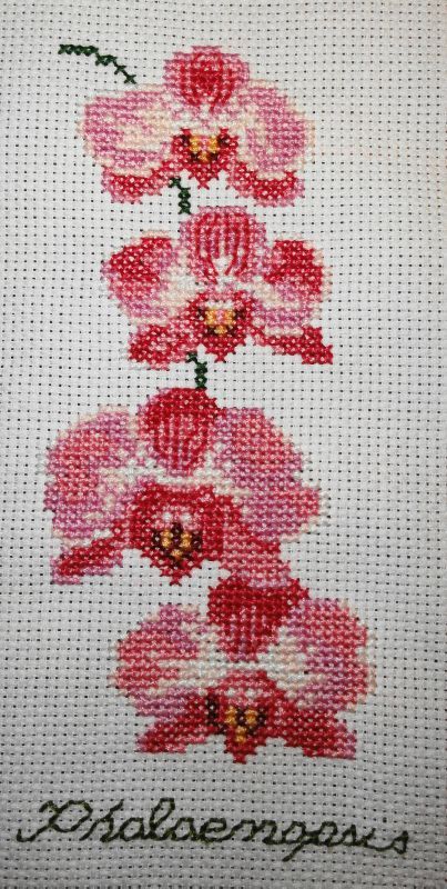grille point de croix dmc gratuite