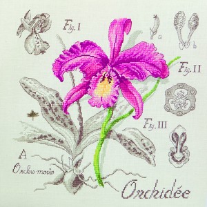 grille point de croix orchidee