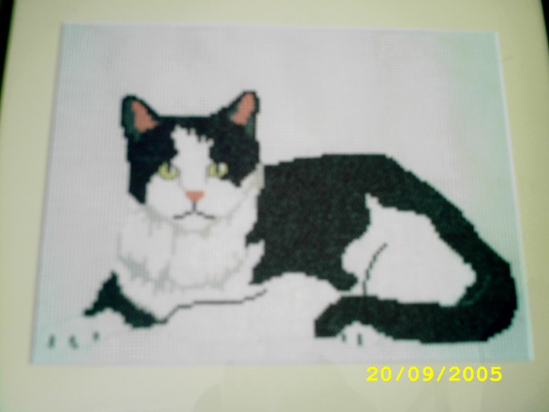 point de croix chat noir