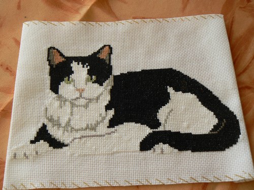 point de croix chat noir